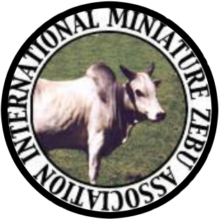 International Miniature Zebu Association - Realiser Une Horloge En Papier (400x400)