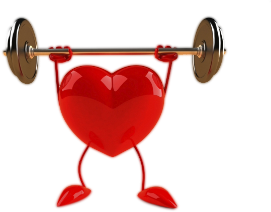 Heart In Ribbon Style Png Image - Healthy Heart Clipart (600x450)