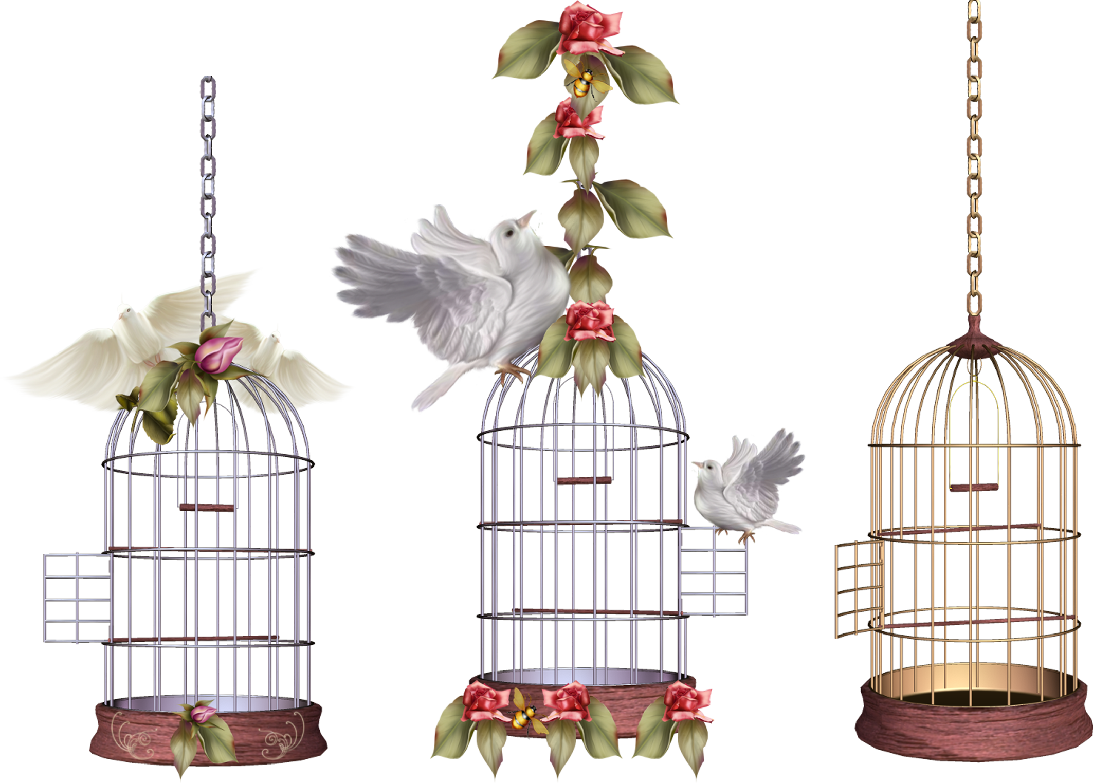 Lovebird Parrot Birdcage - Lovebird Parrot Birdcage (2126x1524)