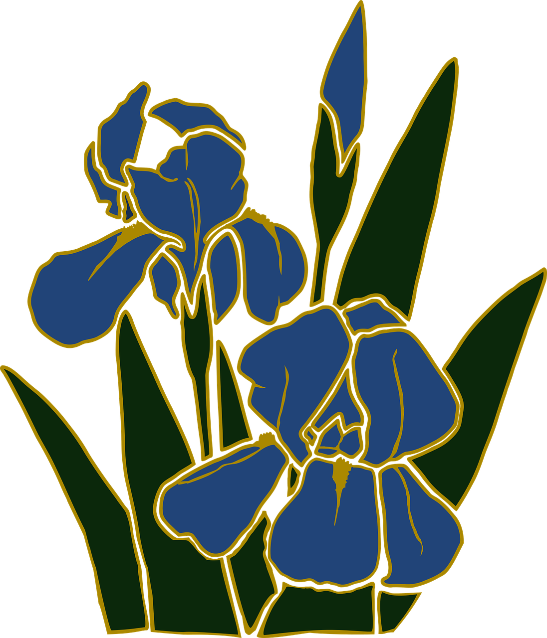 Flower Garden Iris Plant Png Image - Iris Vector (1096x1280)
