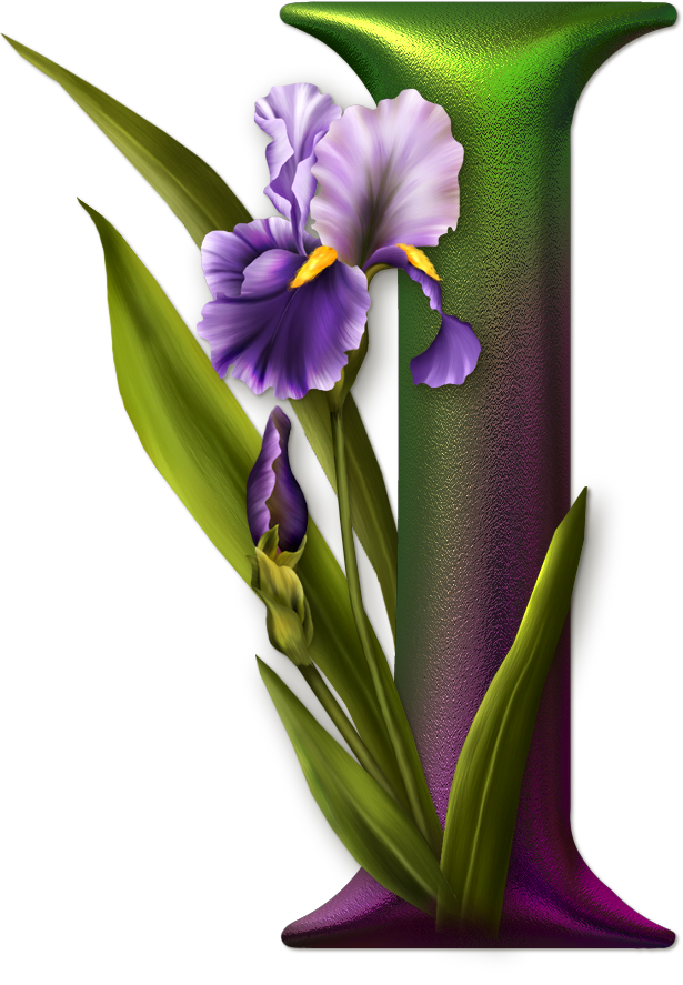 Illuminated Letters, Alphabet Letters, Monogram Letters, - Alphabet (615x887)