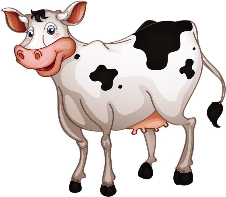 Clip Art - Png Cartoon Cow (800x679)