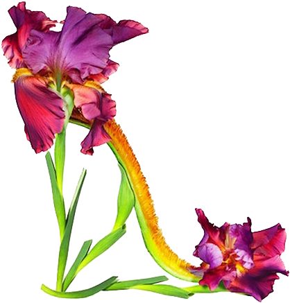 Iris - Shoes Made Out Of Flowers (500x501)