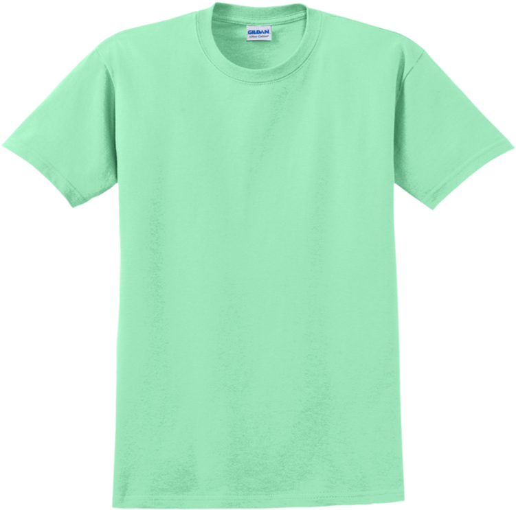 Free Shirt Friday - Mint Green T Shirt (750x750)