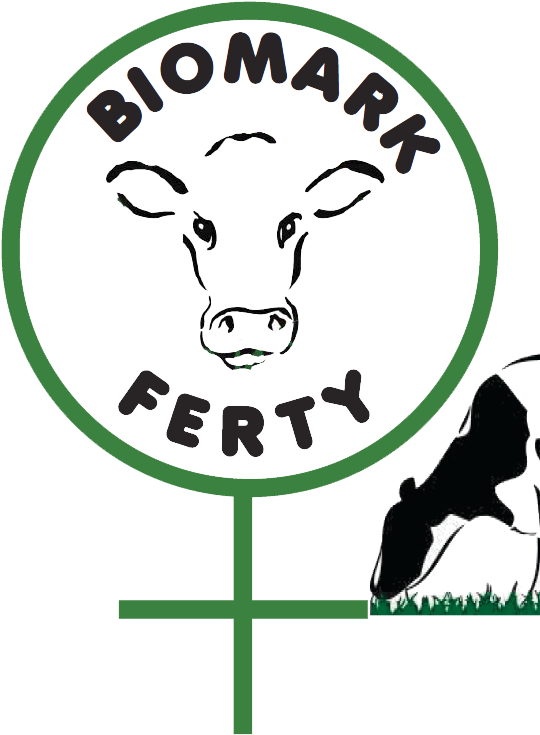 Make Calf A Year Program Successful - Make Calf A Year Program Successful (567x756)