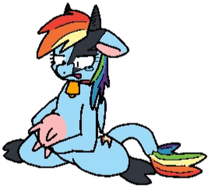 Photo - Photo (530x530)