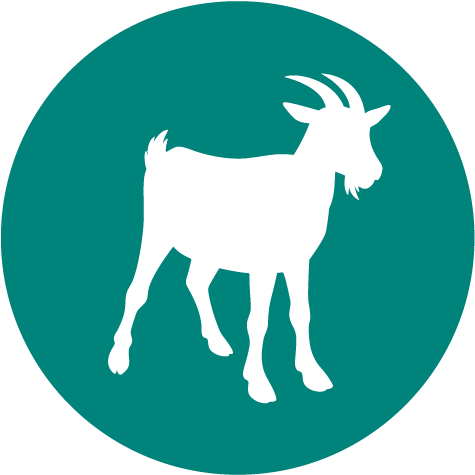 Peste Des Petits Ruminants , Aka, Goat Plague - Care Old People Icon (500x492)