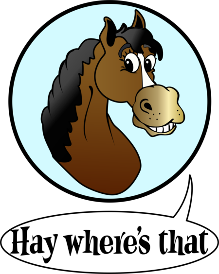 Hay Where's That - Hay Where's That, Inc. "home Of That Blue Stuff" (450x564)