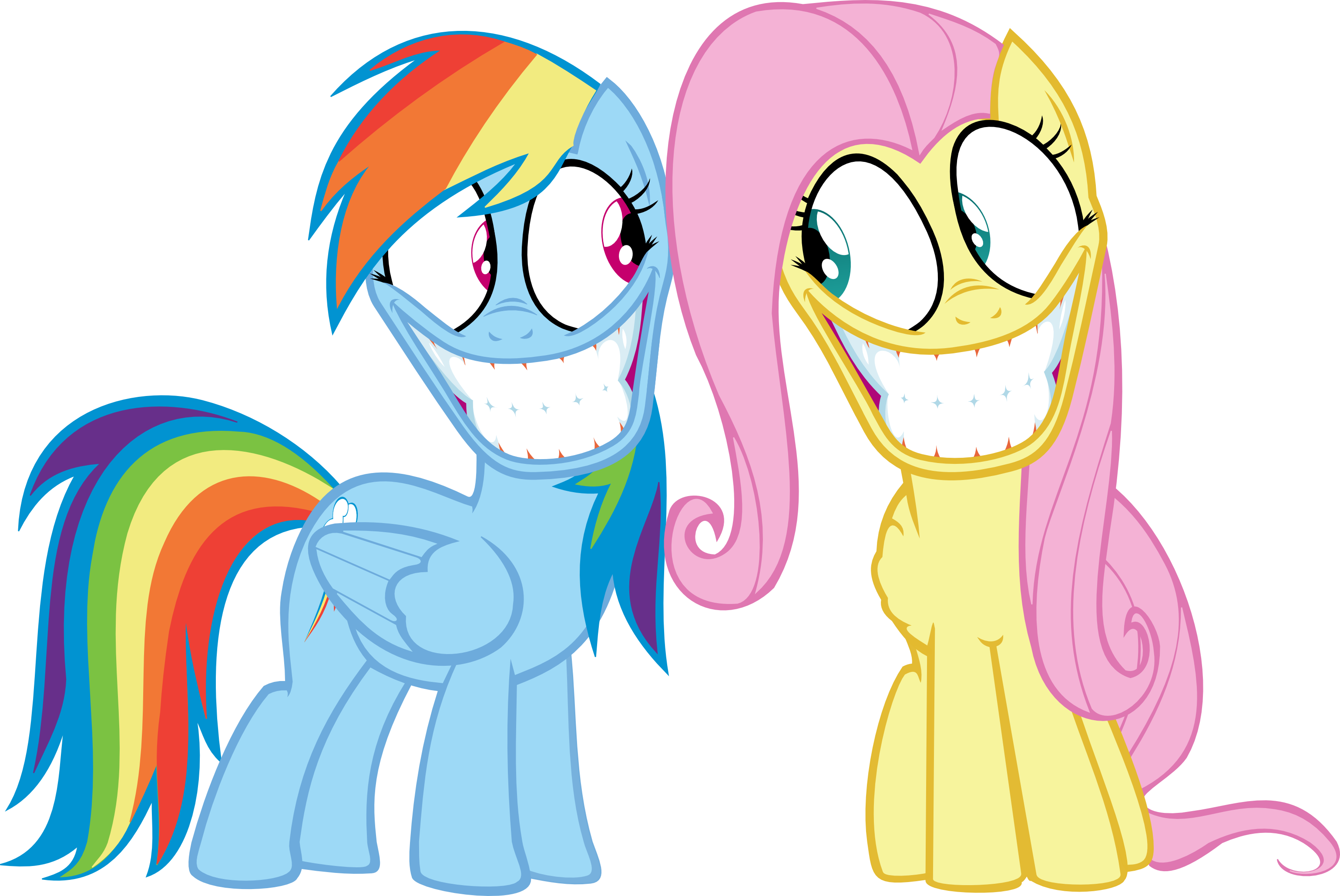 Rainbow Dash And Fluttershy (3079x2059)