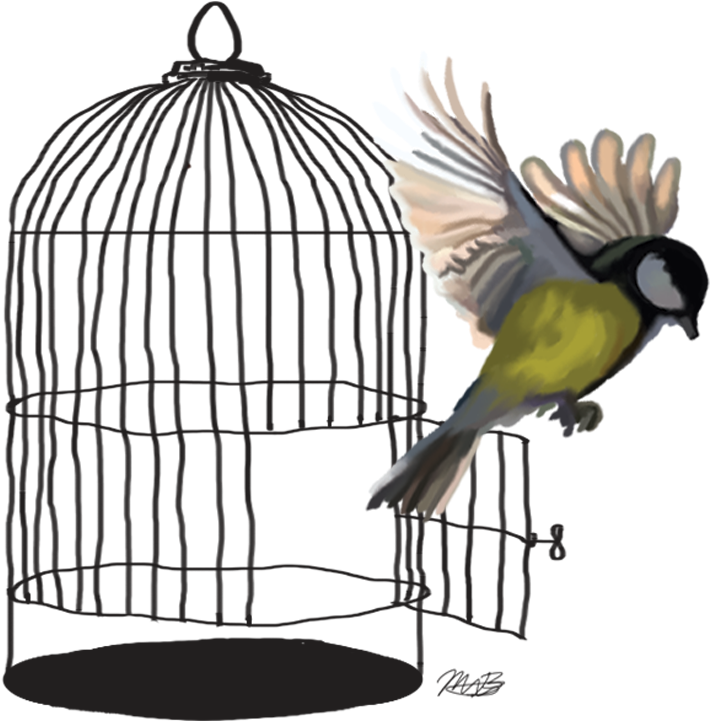 Lovebird Budgerigar Parrot Cage - Lovebird Budgerigar Parrot Cage (1008x792)