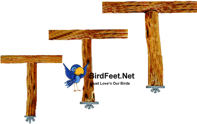 Bird Cage Java Wood Perch Avian Supplies Pluck No More - Cross (400x400)