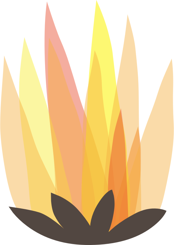 Best Bonfire Clipart - Transparent Bonfire (568x800)