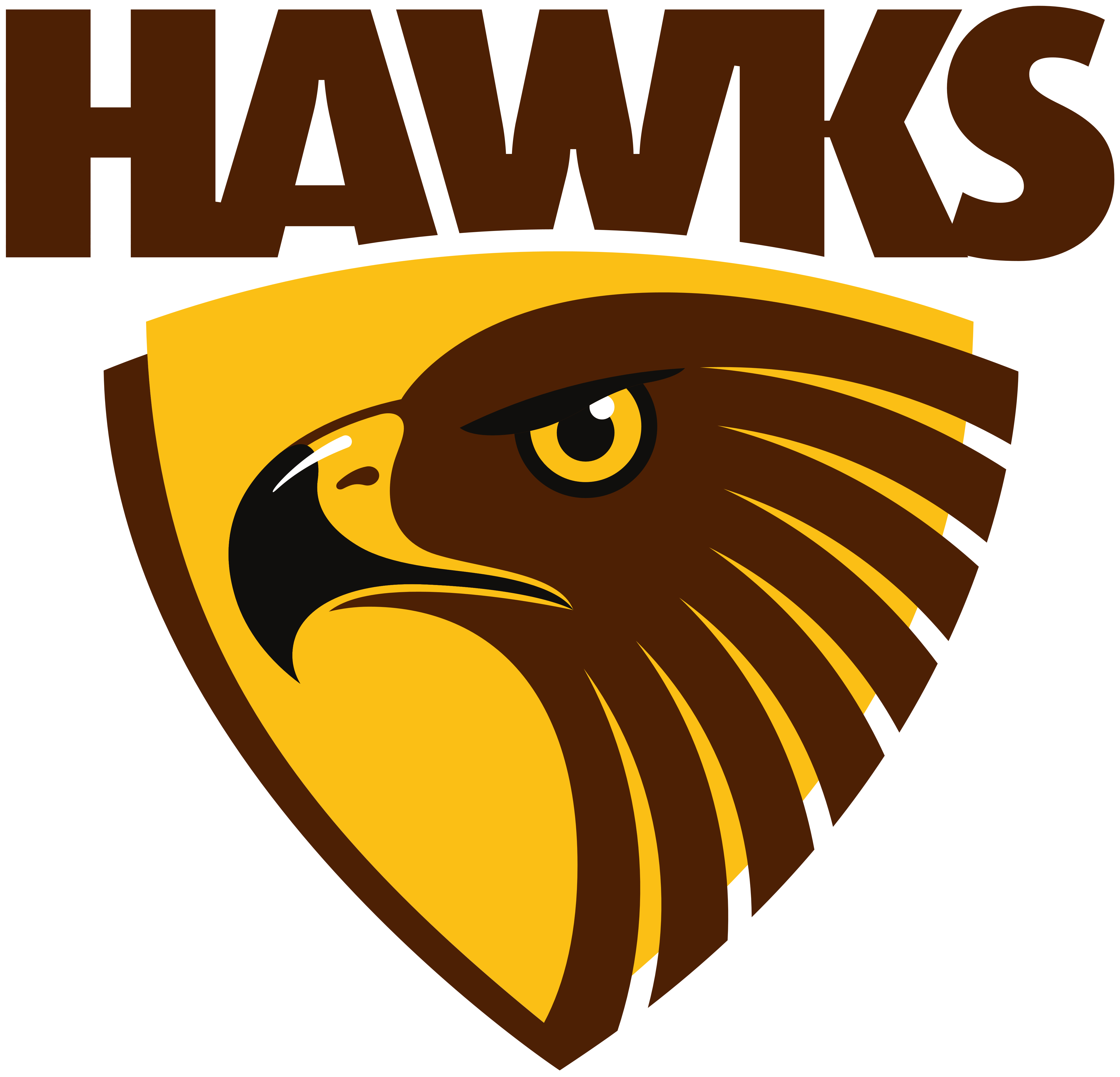 Hawthorn Hawks Fc - Hawthorn Football Club Logo (5000x4590)