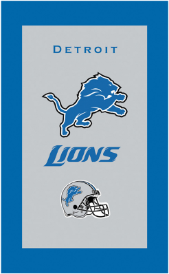 Nfl Detroit Lions Bling Team Magnet Set (500x500)