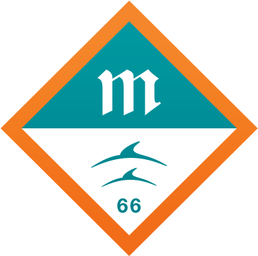 Miami Dolphins Alternate Logo (380x380)
