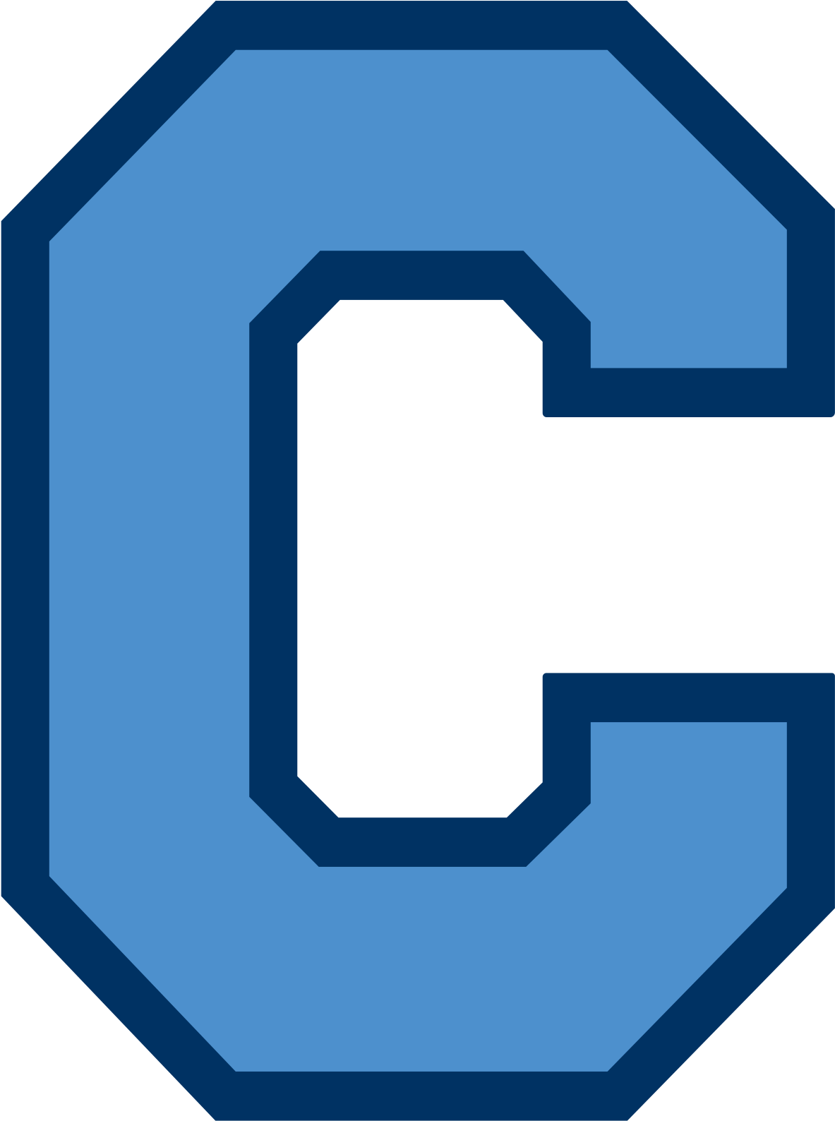 Citadel Bulldogs Logo (1200x1607)