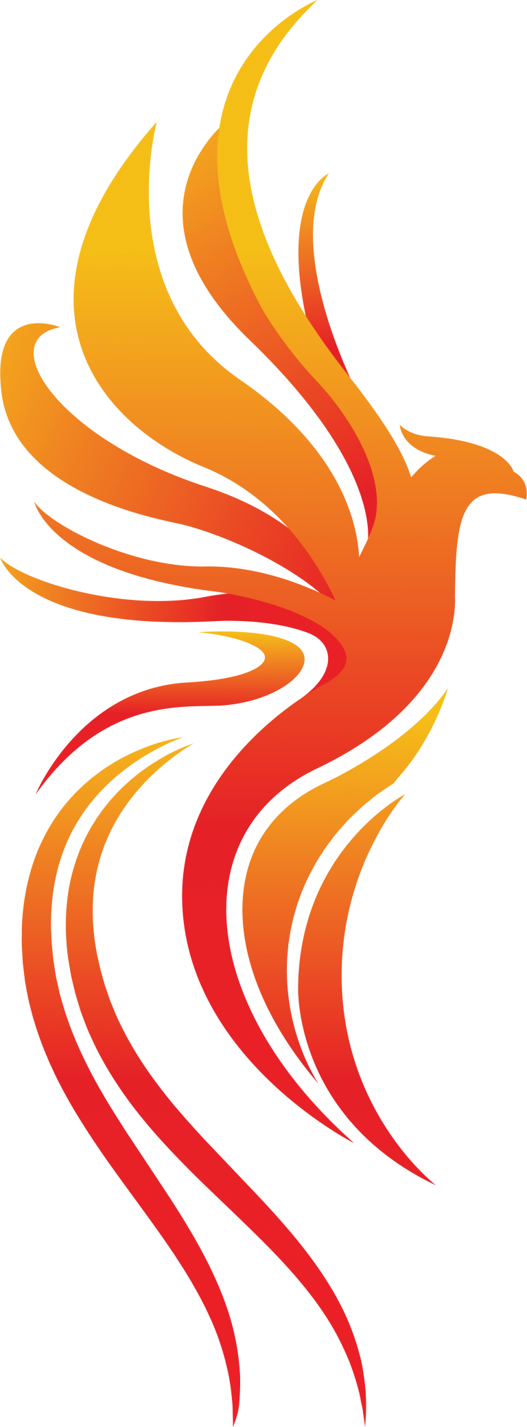 Firebird Cliparts - Fire (768x2077)