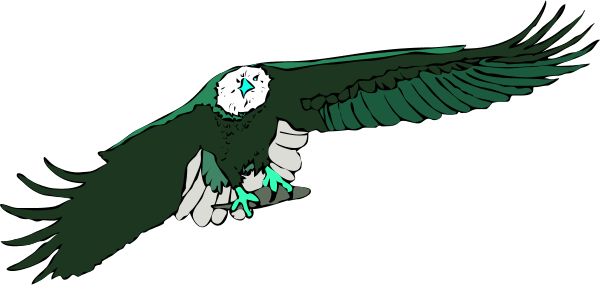 Flying Eagle - Condor Head Clip Art (600x285)