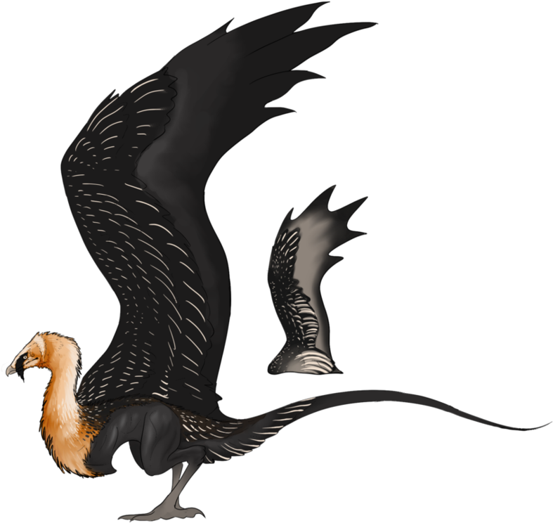 Aveum Accipitridae - Hesperornis (950x841)