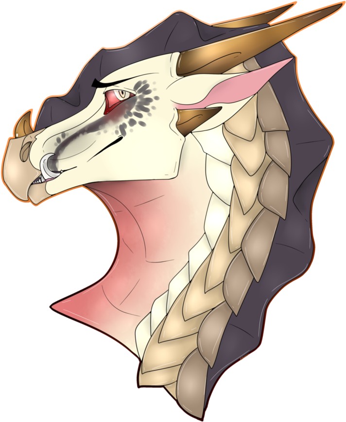 Lammergeier Drawing Lammergeier Drawing - Illustration (866x923)