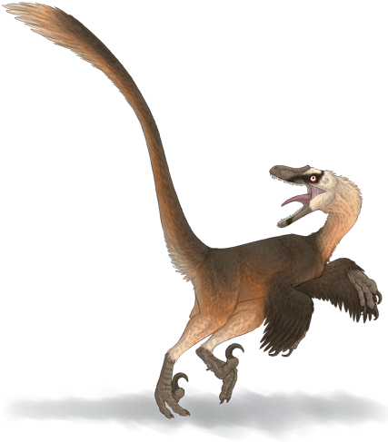 Velociraptor (475x537)