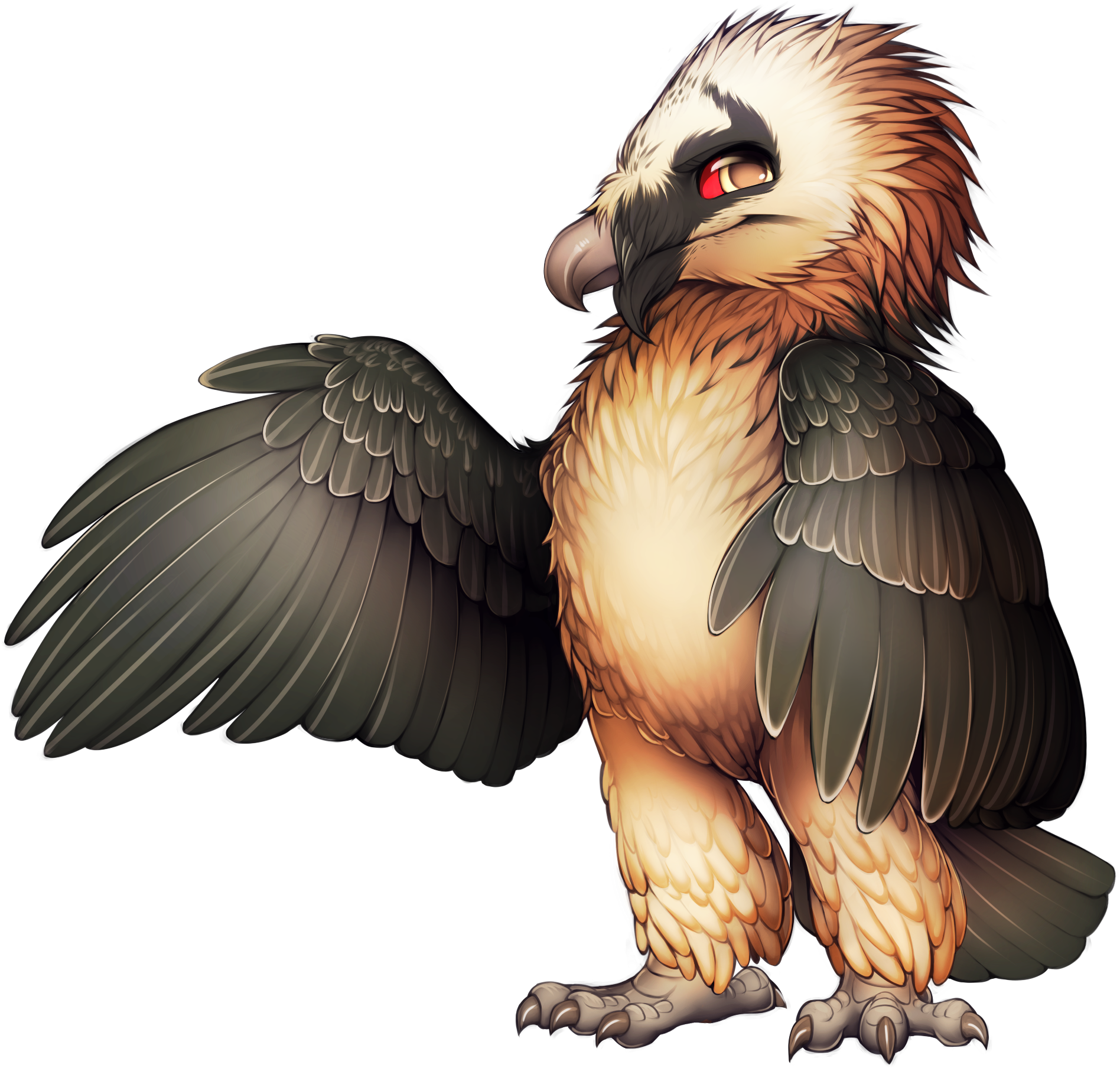 27 Best Bearded Vultures Images On Vulture Animal - Bearded Vulture Base (2059x1852)