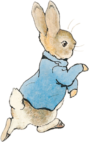 2017 Peter Rabbit - Tale Of Peter Rabbit (400x490)