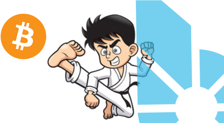 In Australia The Parliament Has Officially Proposed - Taekwondo Kick Cartoon (798x401)