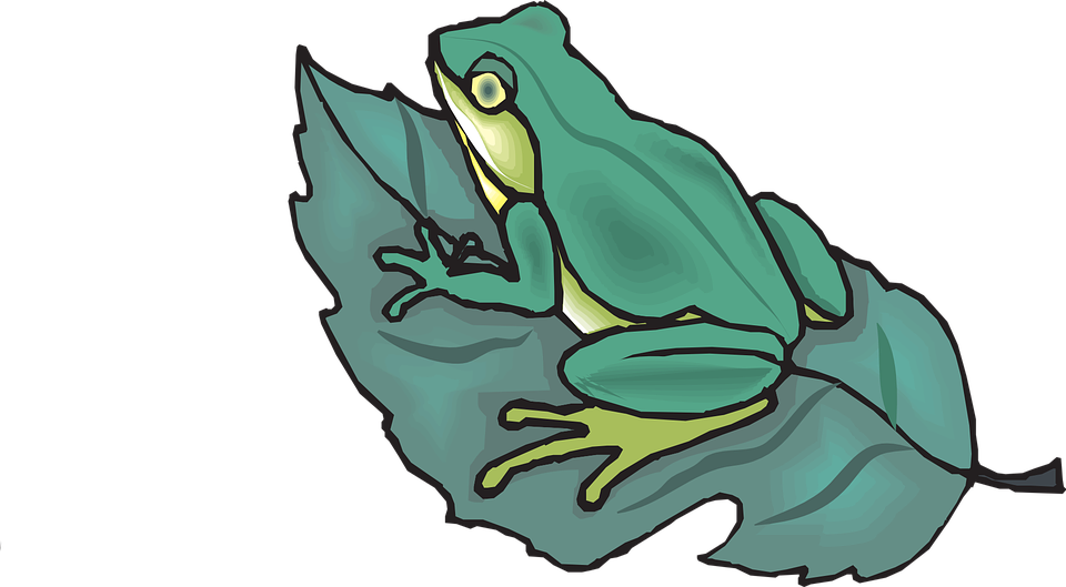 Toad Art 7, Buy Clip Art - Frog Is On The Leaf (960x529)