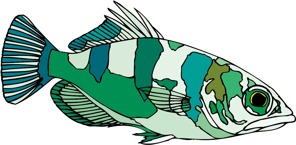 Archerfish Clip Art - Fish (1344x769)