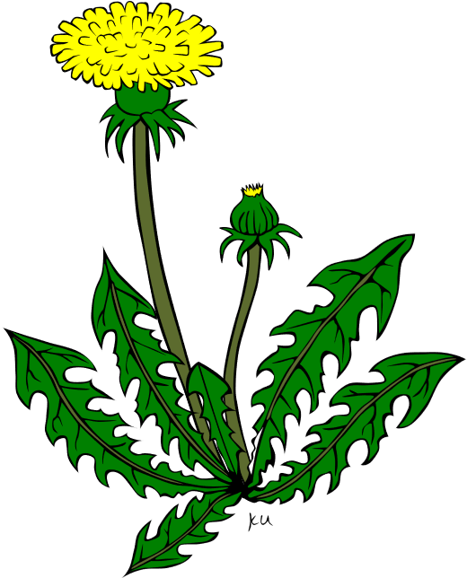 Dandelion Control Clip Art Cliparts - Dandelion Clip Art (1366x643)