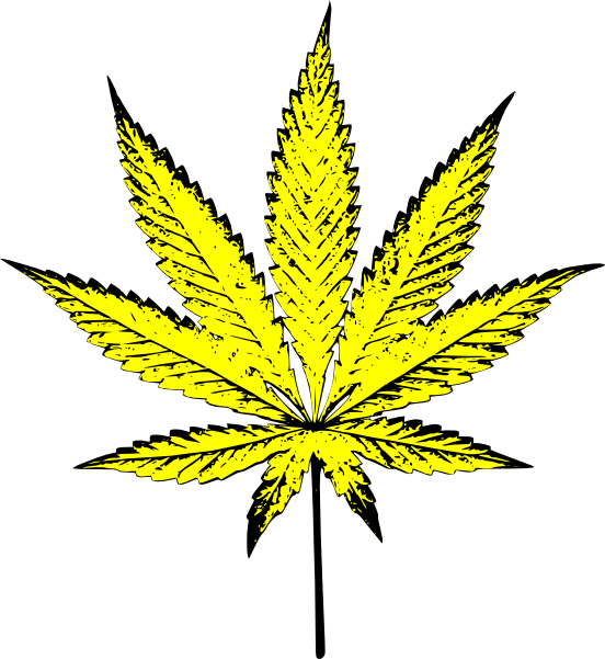 Marijuana Clipart Dandelion Flower - Weed Png (552x601)