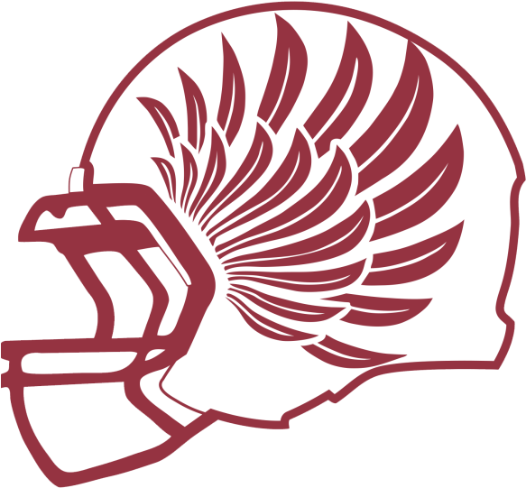 Atlanta Falcons (600x600)