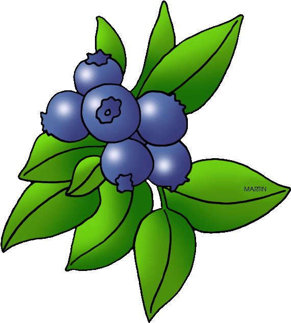 Blueberry Blackberry Fruit Clip Art - Blueberry Blackberry Fruit Clip Art (597x648)