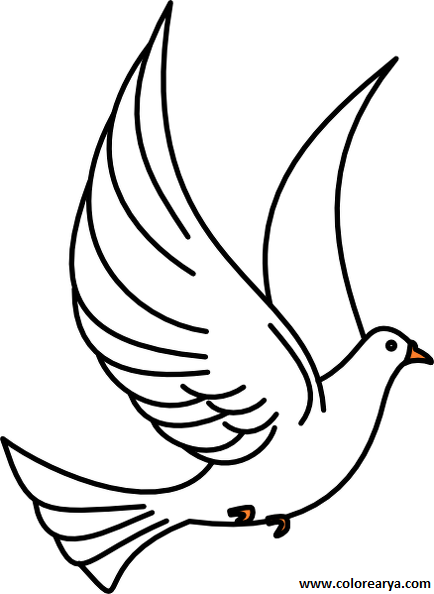 Uçan Kuş Resmi Boyama - Drawing Of Pigeon Flying (526x720)