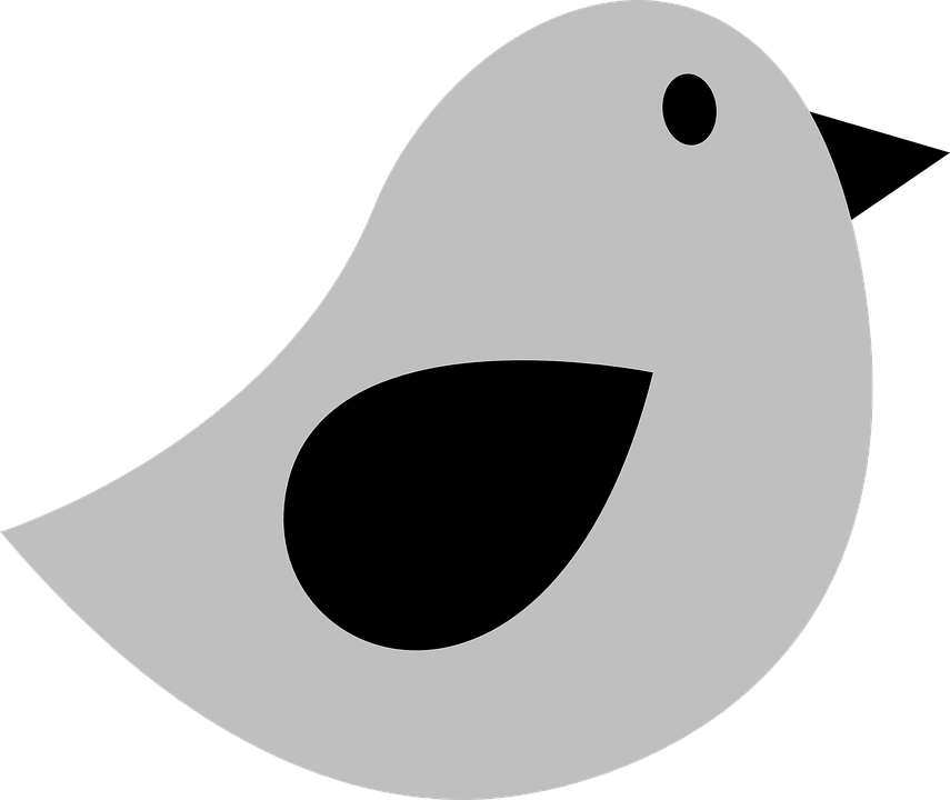 Free Image On Pixabay - Grey Bird Clipart (855x720)
