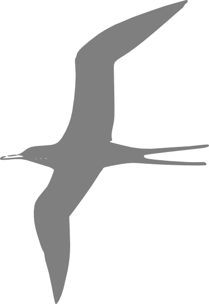 Flying Bird Grey - May Your Heart Soar And Your Dreams Take Flight-wish (408x594)