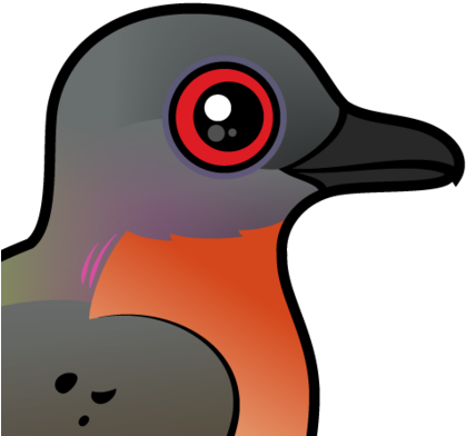 About The Passenger Pigeon - Passenger Pigeon Cartoon (440x440)