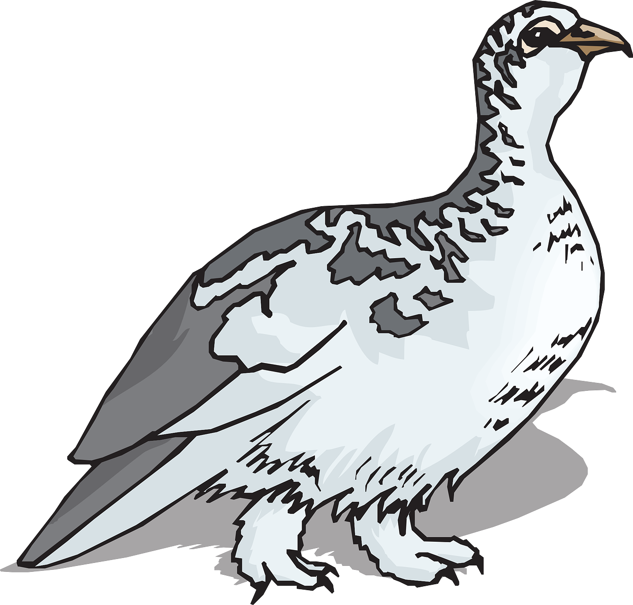 Ptarmigan Bird, Wings, Animal, Feathers, Species, Ptarmigan - Ptarmigan Clipart (1280x1223)