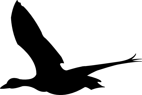 Flying Bird Clip Art - Clip Art (600x400)