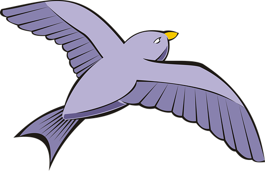 Bird, Pigeon, Flight, Sky, Violet, Adobe - Adobe Systems (528x340)