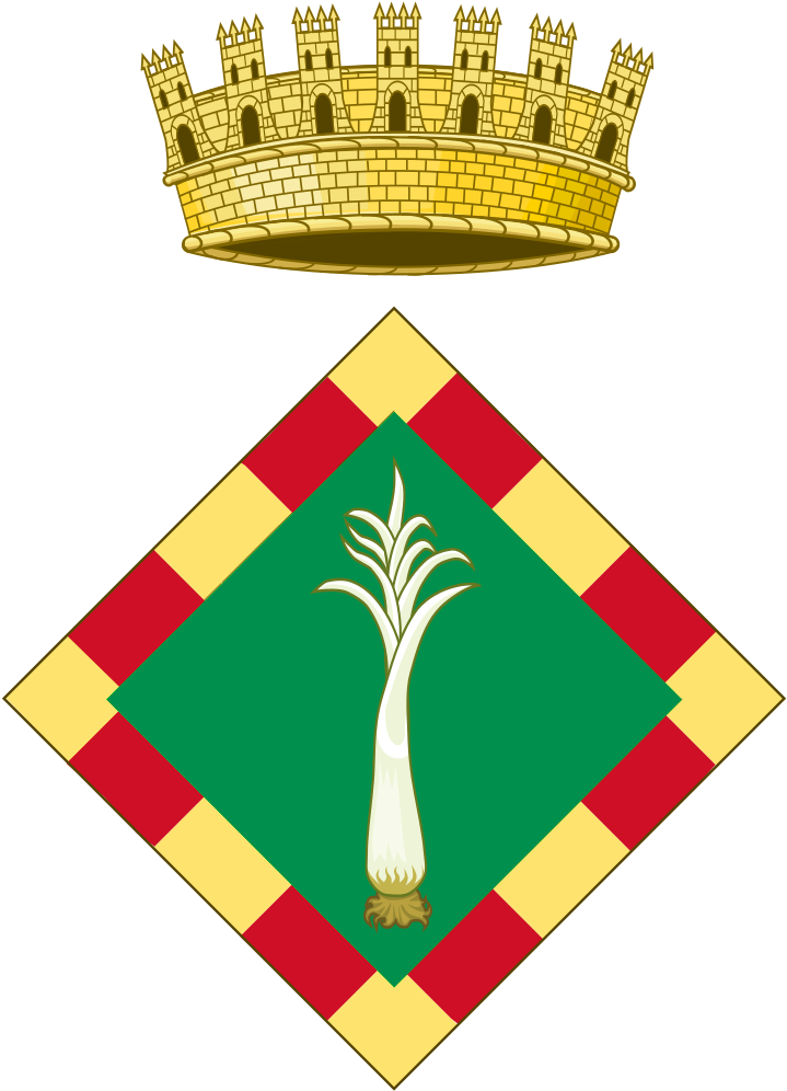 Coat Of Arms Of Alt Camp - Consell Comarcal Del Pla D'urgell (731x1023)