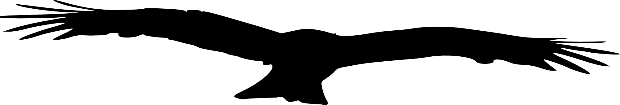 Free Download - Buzzard (2000x339)