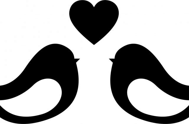 Clipart Love Birds Ii - Love Bird Clip Art (640x420)