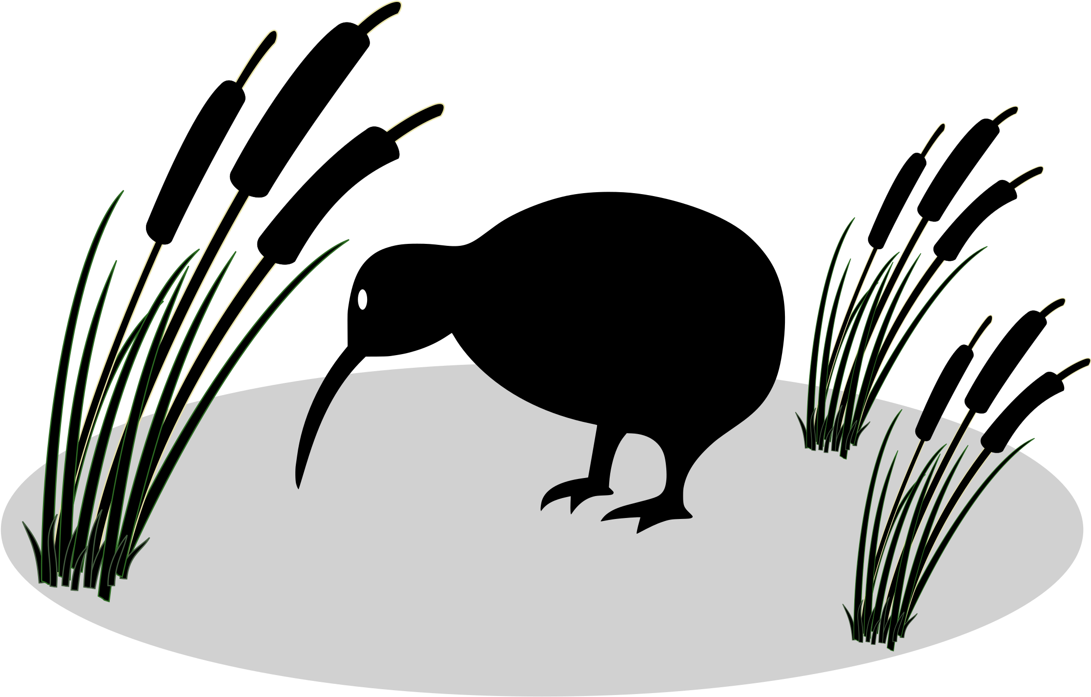 Kiwi And Reed - Kiwi And Reed (2400x1600)