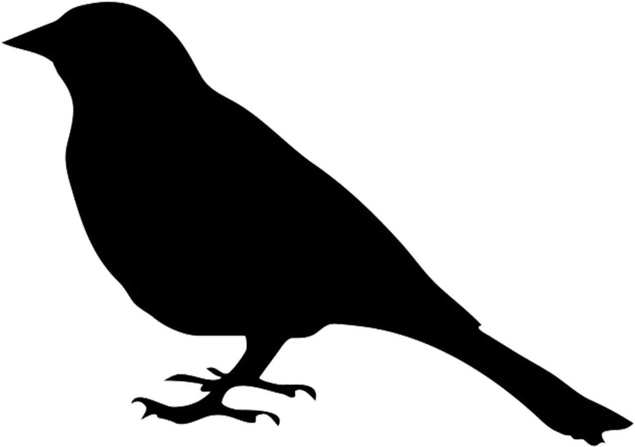 Silhouette Of Bird - Vector Graphics (1325x992)