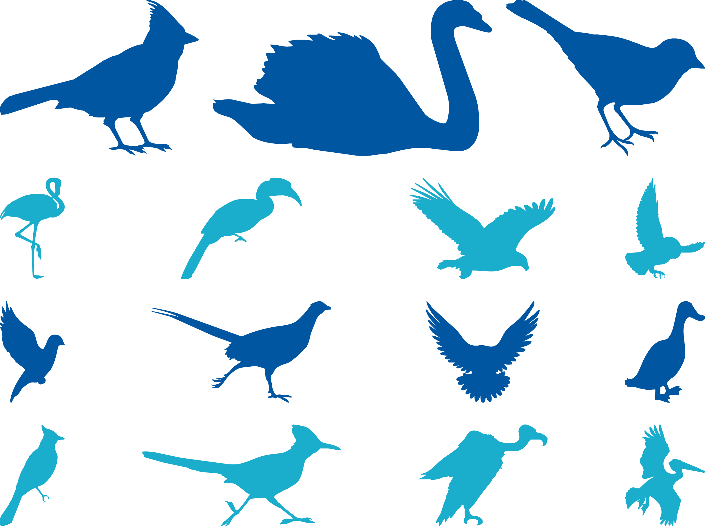 Bird Cygnini Sparrow Goose Beak - Vulture Vinyl Decal Outdoor Weatherproof Select Size (2434x1819)