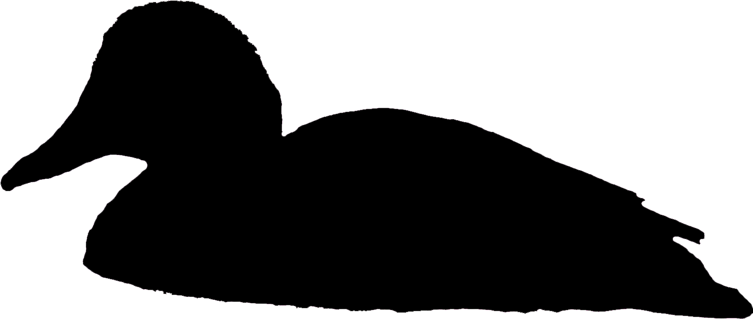 Comments - Swimming Duck Silhouette Png (1560x698)