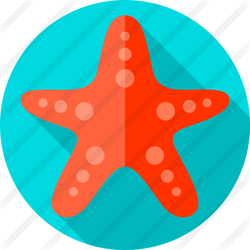 Estrella De Mar - Estrella De Mar (512x512)