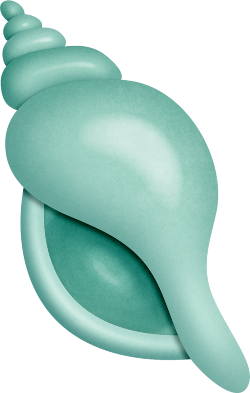 Яндекс - Фотки - Seashell Free Beach Clipart (508x800)
